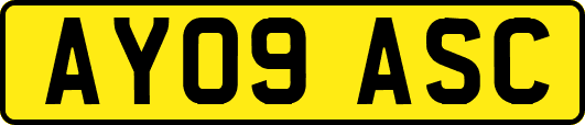 AY09ASC