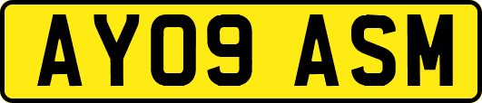 AY09ASM
