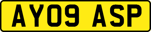 AY09ASP