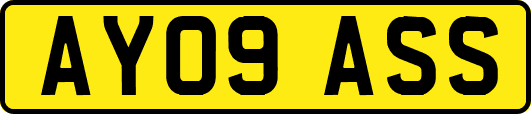 AY09ASS