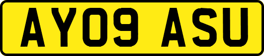 AY09ASU