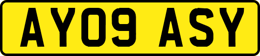 AY09ASY