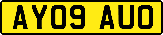AY09AUO