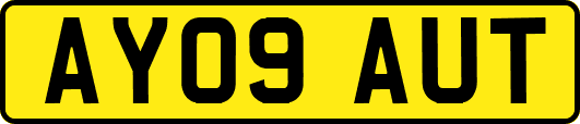 AY09AUT