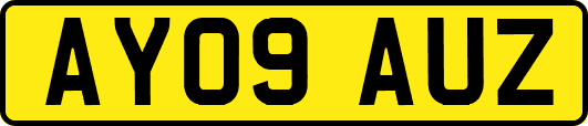 AY09AUZ