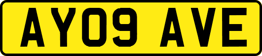AY09AVE