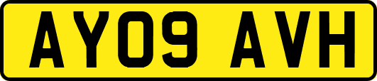 AY09AVH