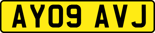 AY09AVJ
