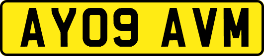 AY09AVM