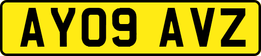 AY09AVZ