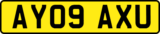 AY09AXU