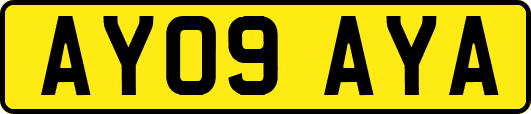 AY09AYA