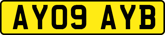AY09AYB