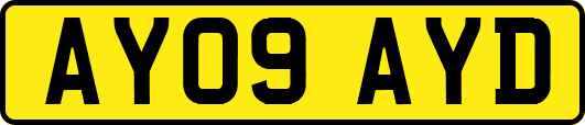 AY09AYD