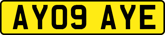 AY09AYE