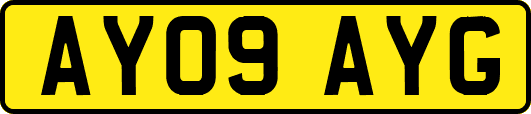 AY09AYG