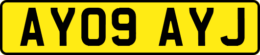 AY09AYJ