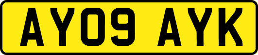 AY09AYK