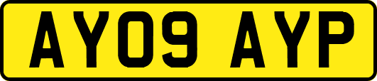 AY09AYP