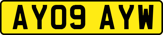 AY09AYW
