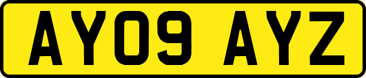 AY09AYZ
