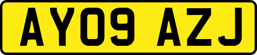 AY09AZJ
