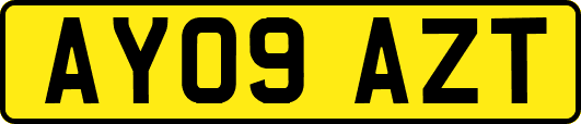 AY09AZT