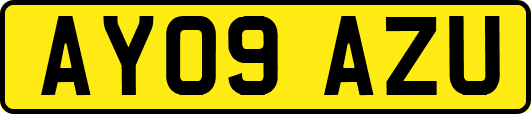 AY09AZU