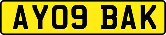 AY09BAK