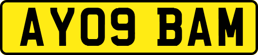 AY09BAM