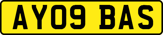 AY09BAS