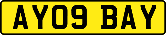 AY09BAY