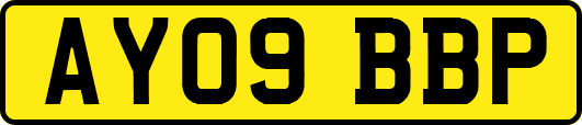 AY09BBP