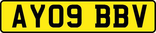 AY09BBV