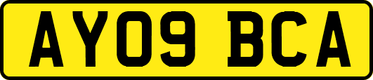 AY09BCA