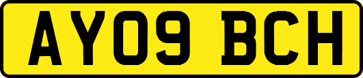 AY09BCH