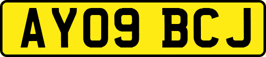 AY09BCJ