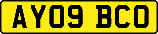 AY09BCO