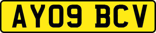 AY09BCV