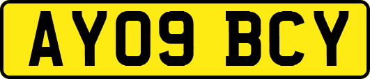 AY09BCY