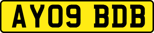 AY09BDB