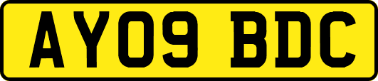 AY09BDC