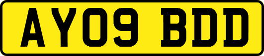 AY09BDD