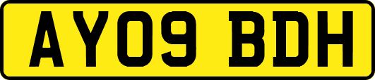 AY09BDH