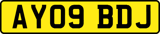 AY09BDJ