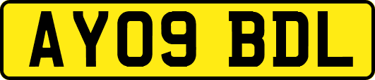 AY09BDL