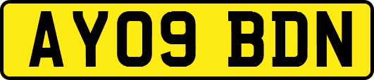 AY09BDN
