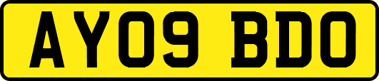 AY09BDO