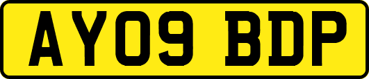 AY09BDP
