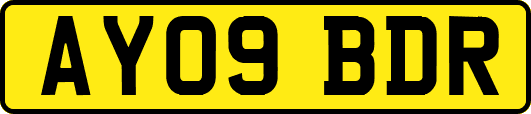 AY09BDR